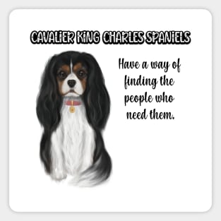 Cavaliers have a way of finding the people who need them. (Tri-Colored) Magnet